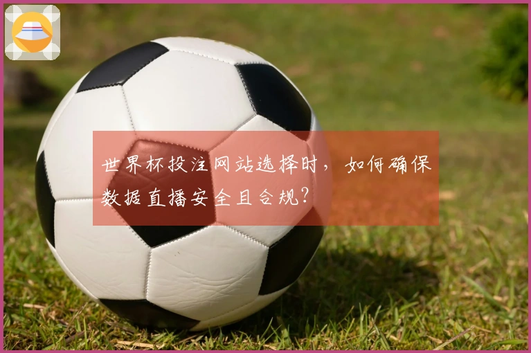 世界杯投注网站选择时，如何确保数据直播安全且合规？